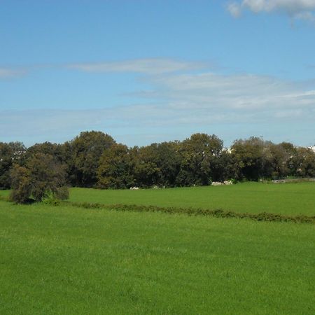 Masseria Gattamora 우기아노 라 치에사 외부 사진